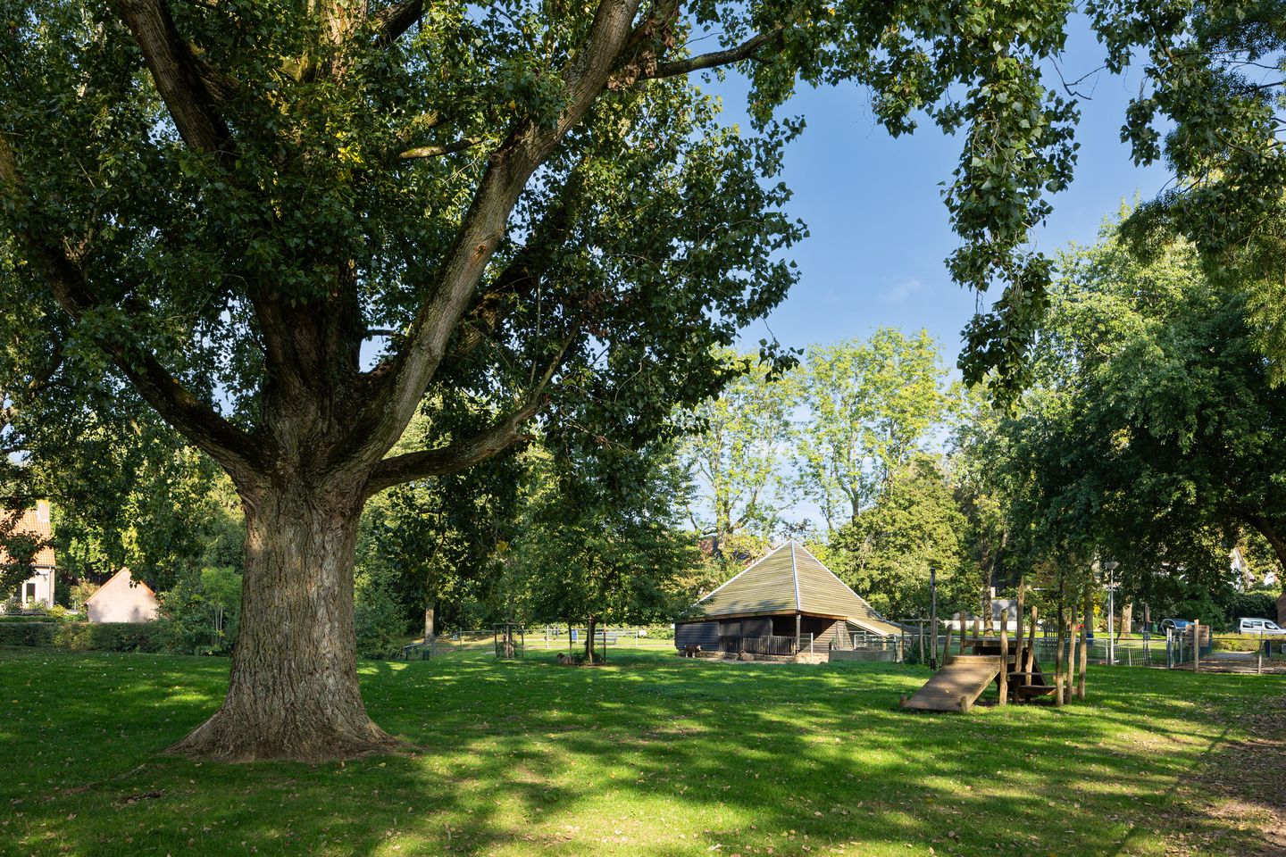 Foto 49 van De Vlacie 1
