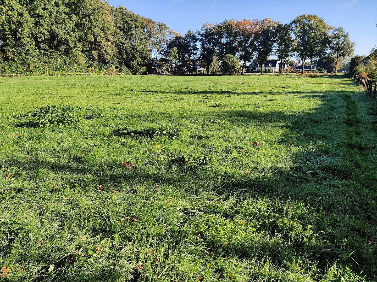 Vierhuizenweg - Oldebroek - Afbeelding 1