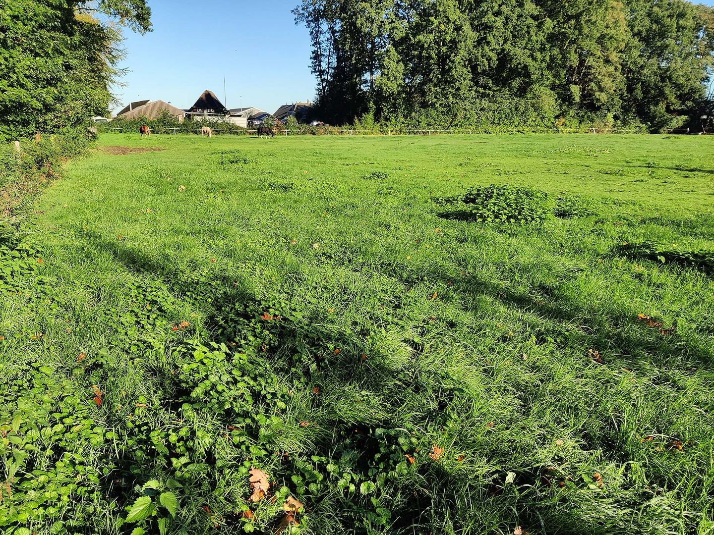 Bekijk foto 2 van Vierhuizenweg