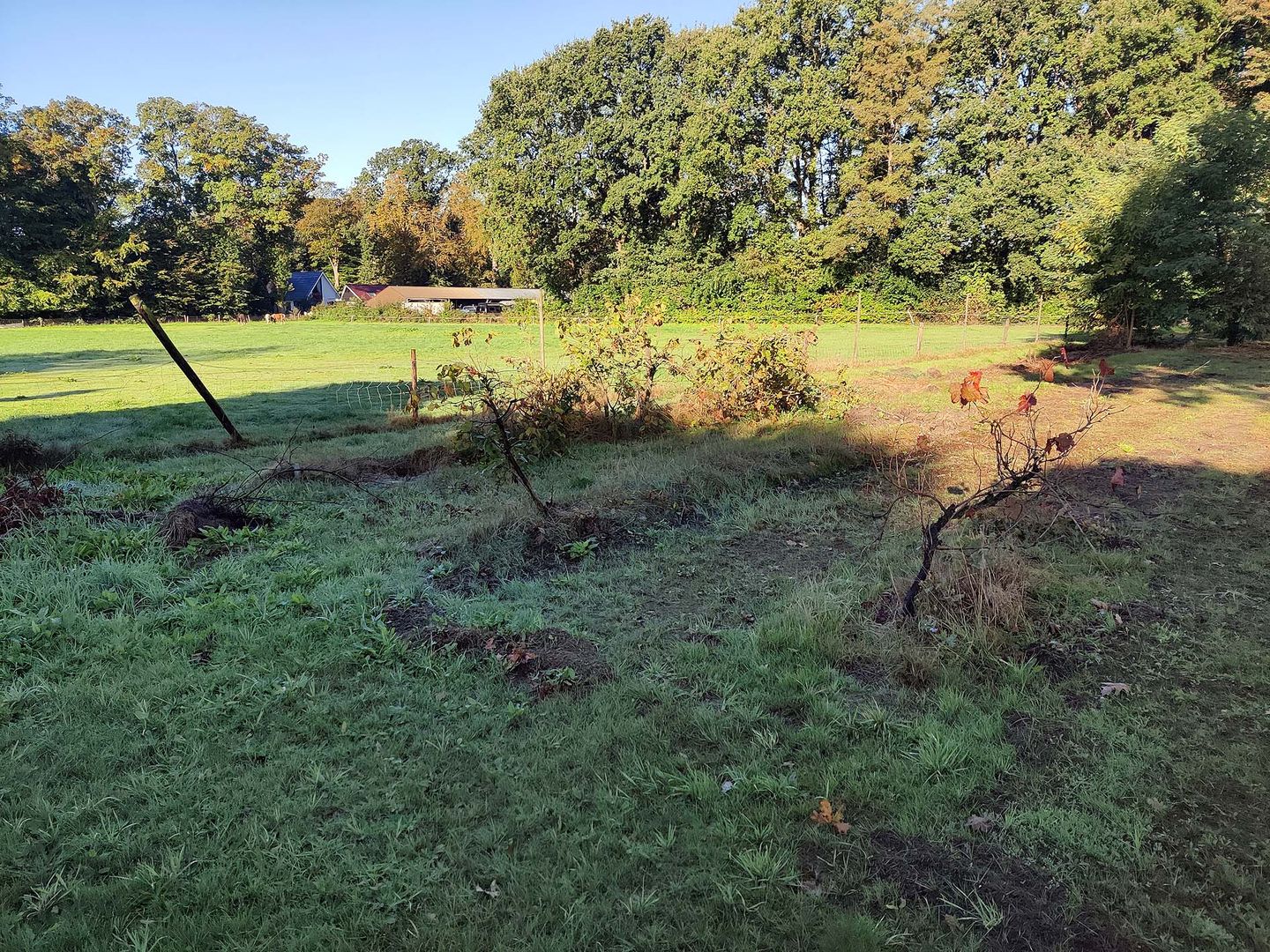 Bekijk foto 4 van Vierhuizenweg