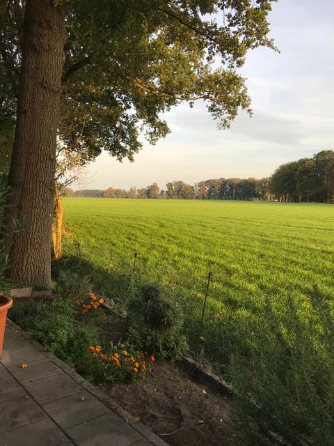 Foto 65 van Vijverweg 6