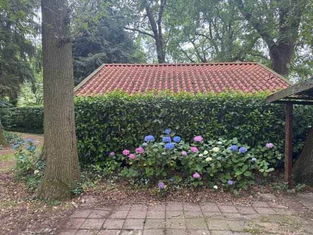 Foto 75 van Vijverweg 6