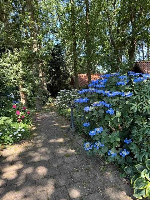 Foto 74 van Vijverweg 6