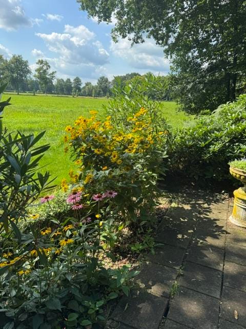 Foto 71 van Vijverweg 6
