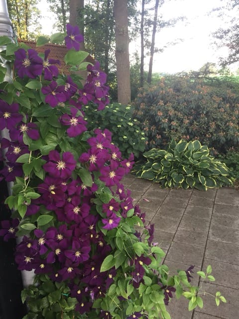 Foto 72 van Vijverweg 6