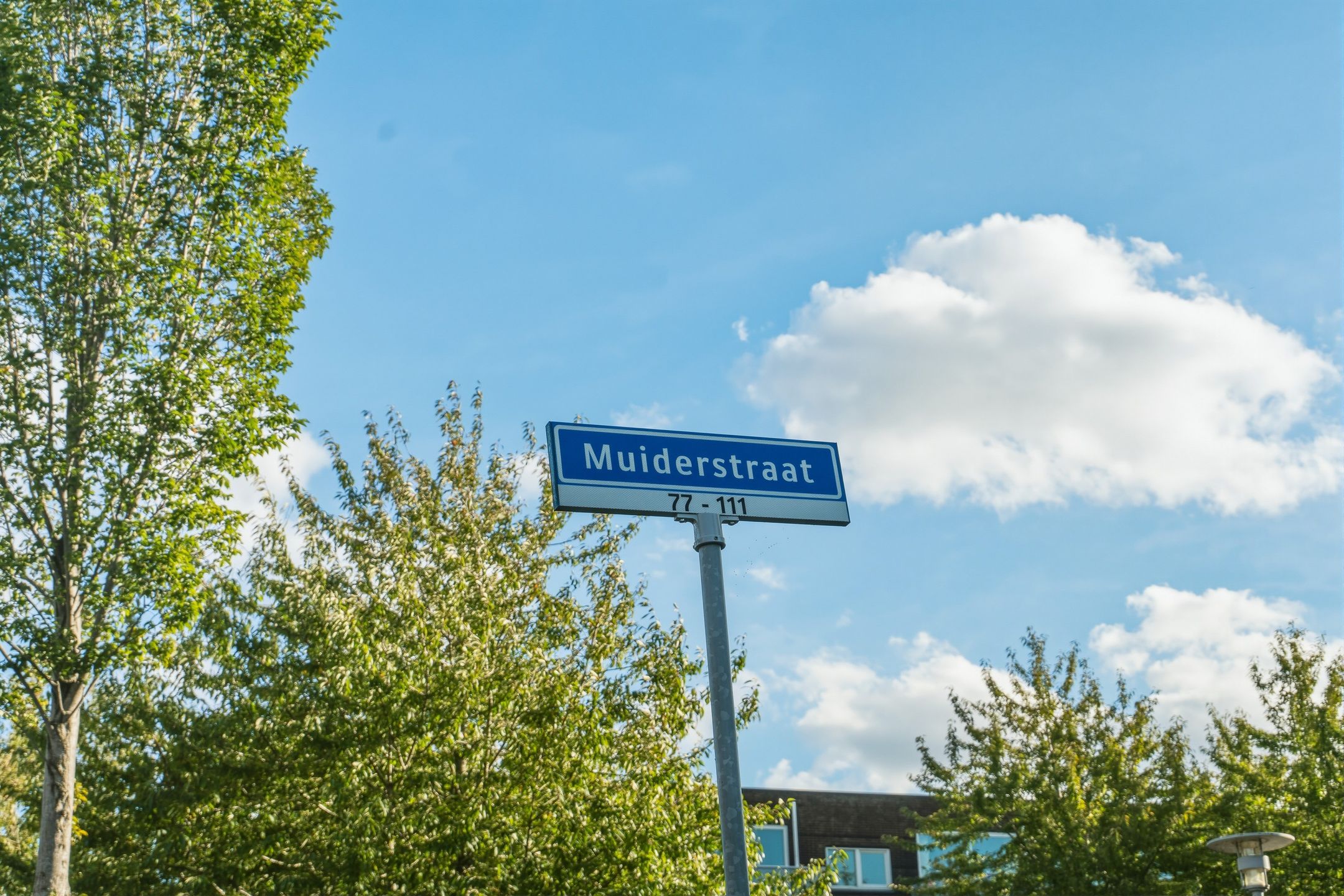 Photo 39 of Muiderstraat 93