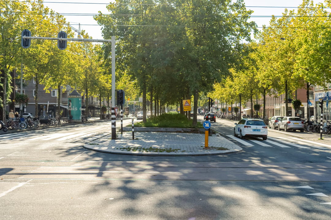 Foto 47 van Ruyschstraat 82-H