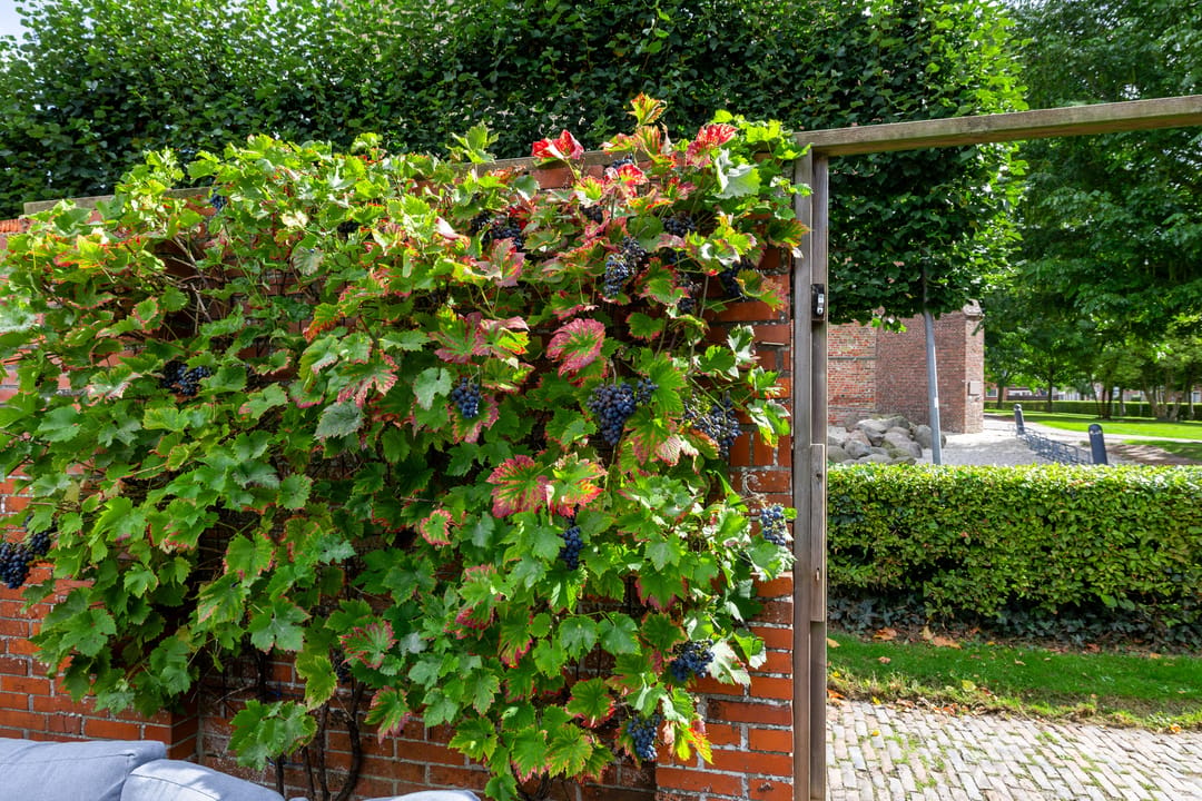 Photo 58 of 2e Dwarsstraat 4