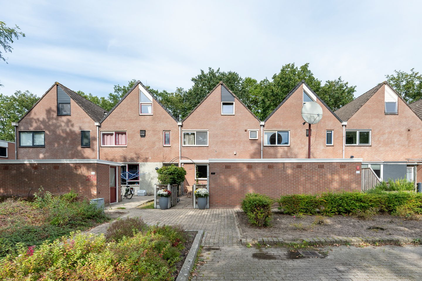 Photo 29 of Rolderbrink 234