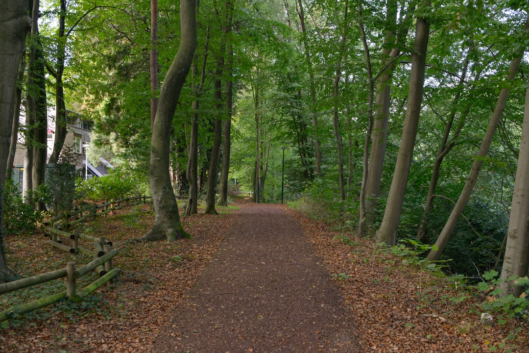Photo 32 of Uytenbosch 14