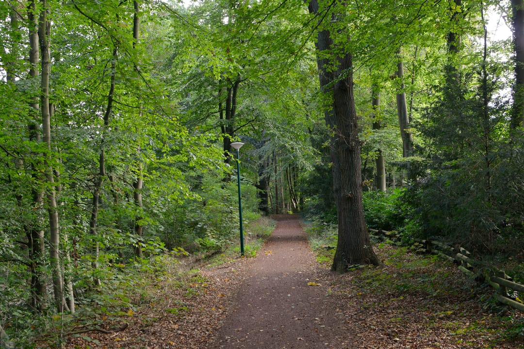 Photo 31 of Uytenbosch 14