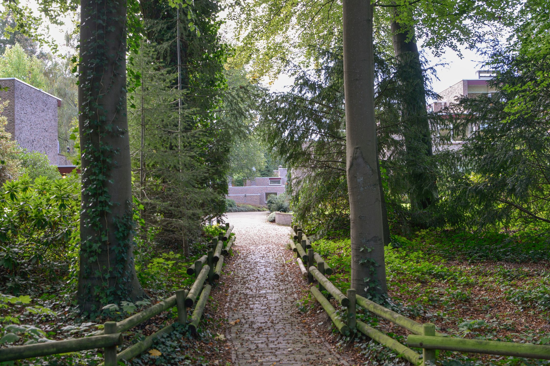 Photo 30 of Uytenbosch 14