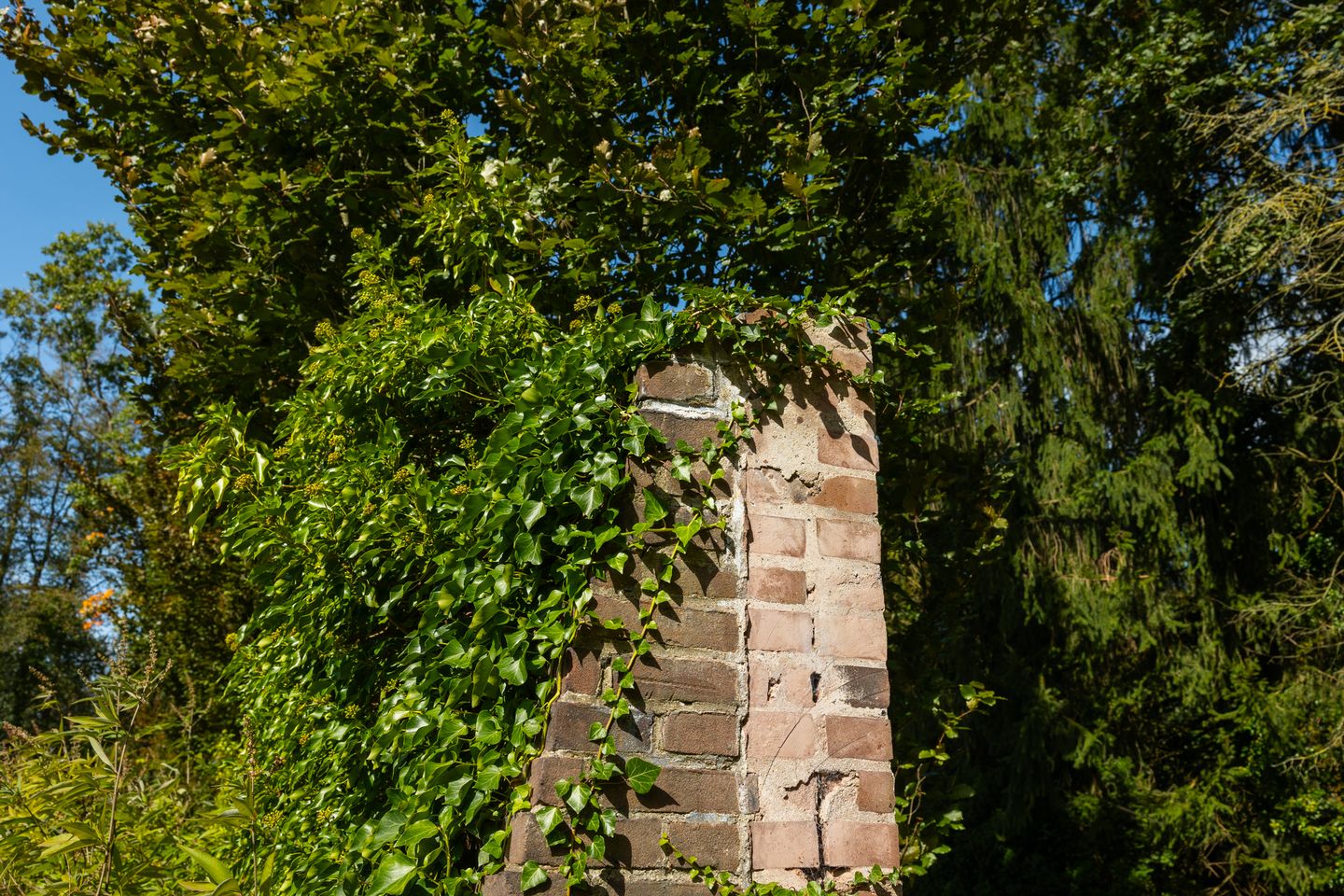 Photo 10 of Bastinglaan 20