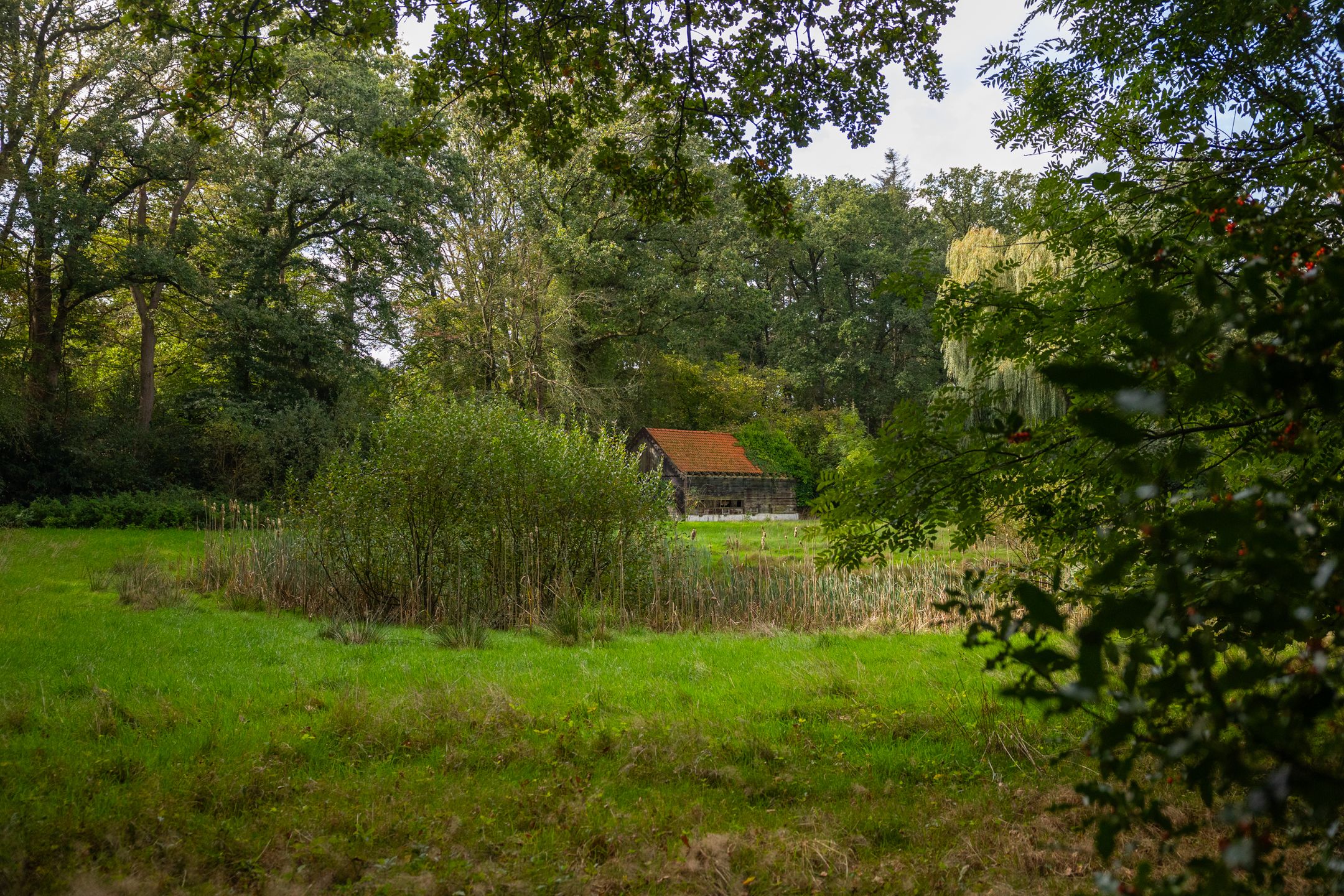 Photo 15 of Bastinglaan 20
