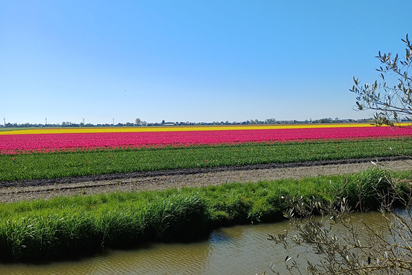 Photo 44 of Bobeldijk 107