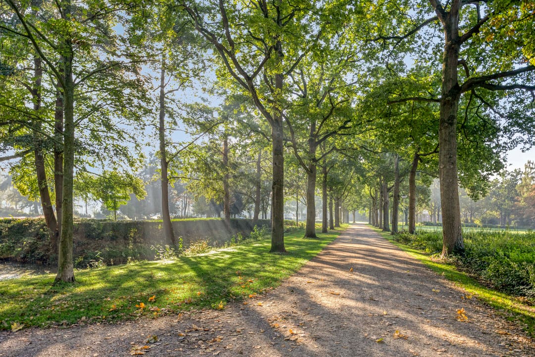 Foto 43 van Laan van België 102