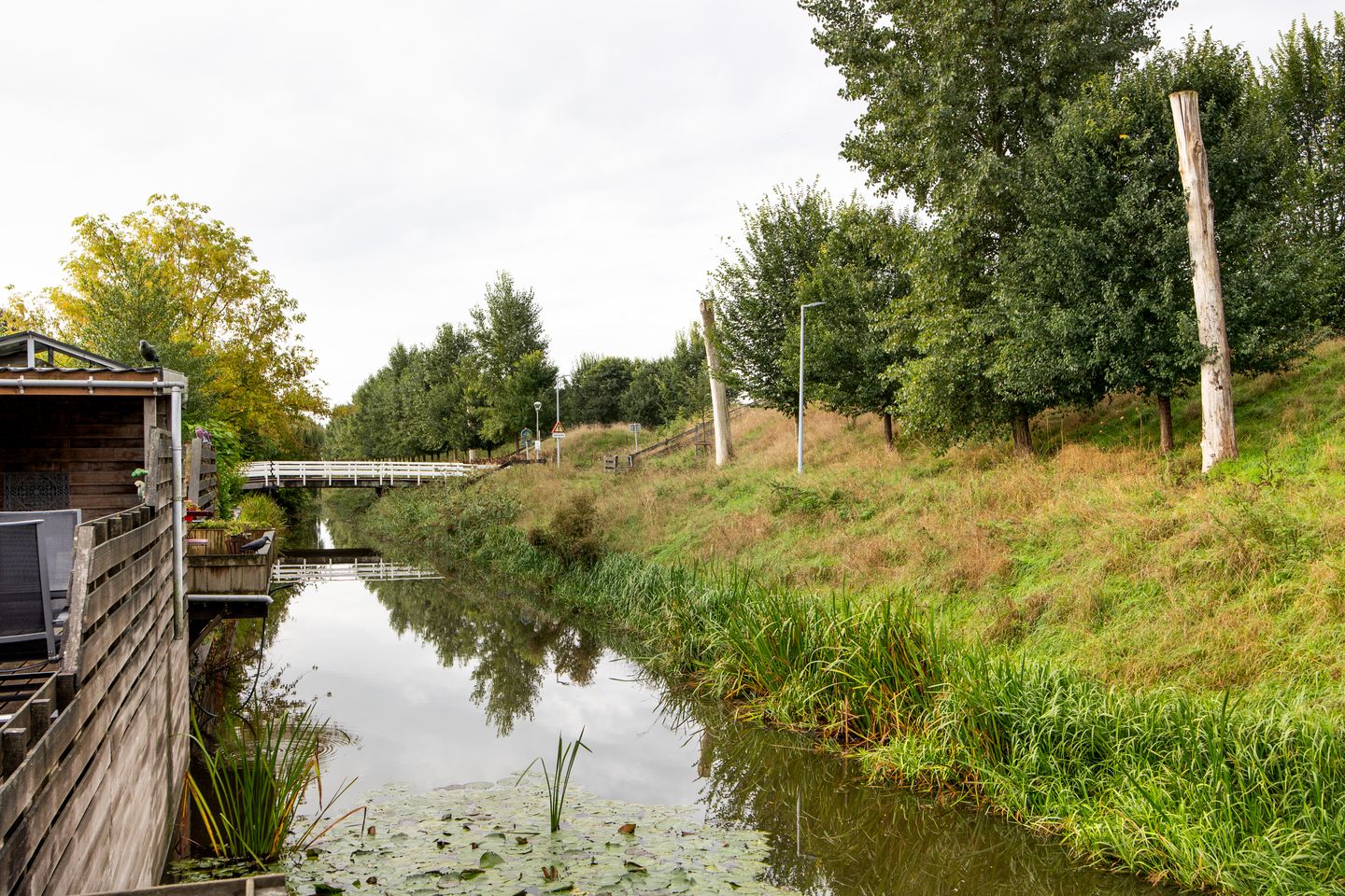 Foto 10 van Waterwolf 18