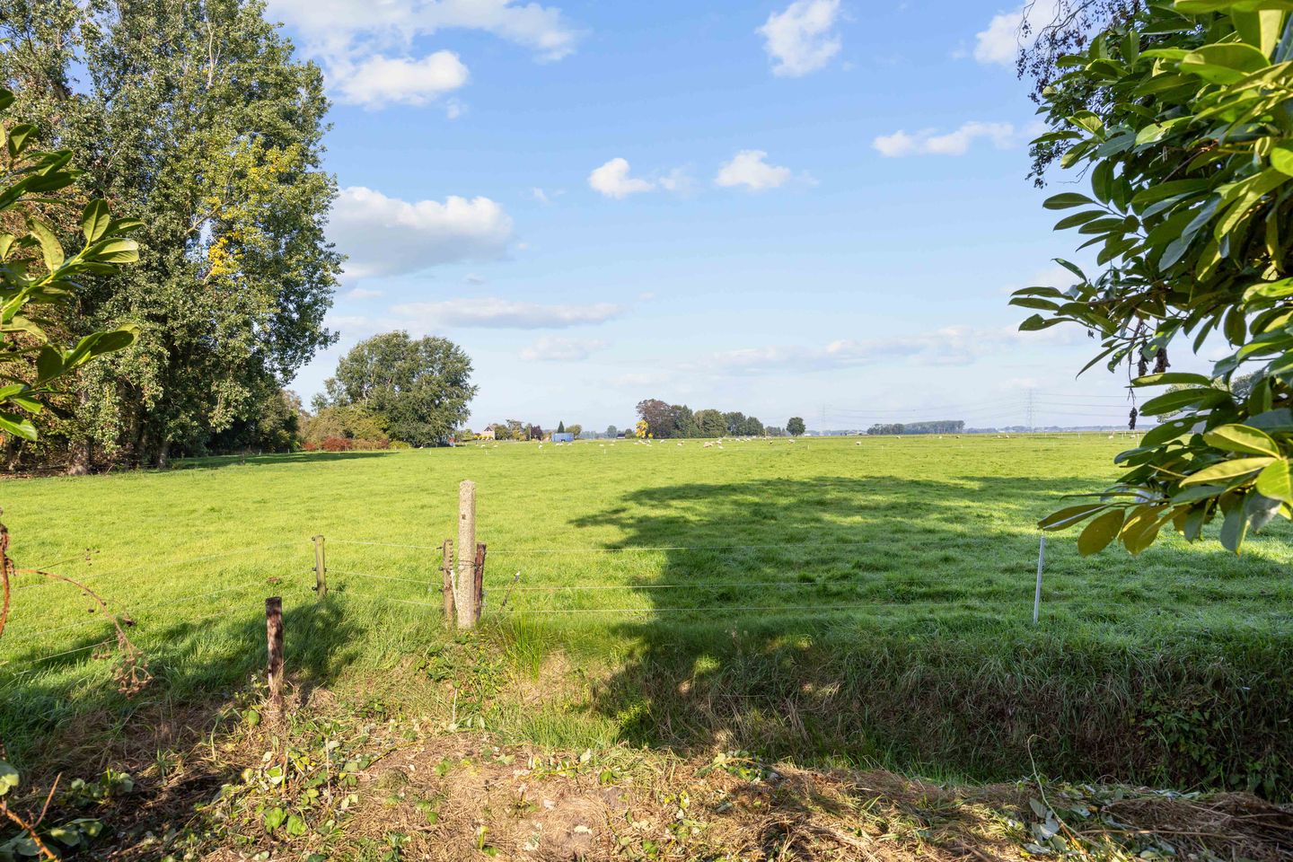 Photo 49 of Oudeweg 150