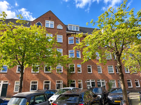 Pienemanstraat thumbnail