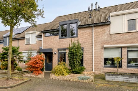 Schapeweide thumbnail