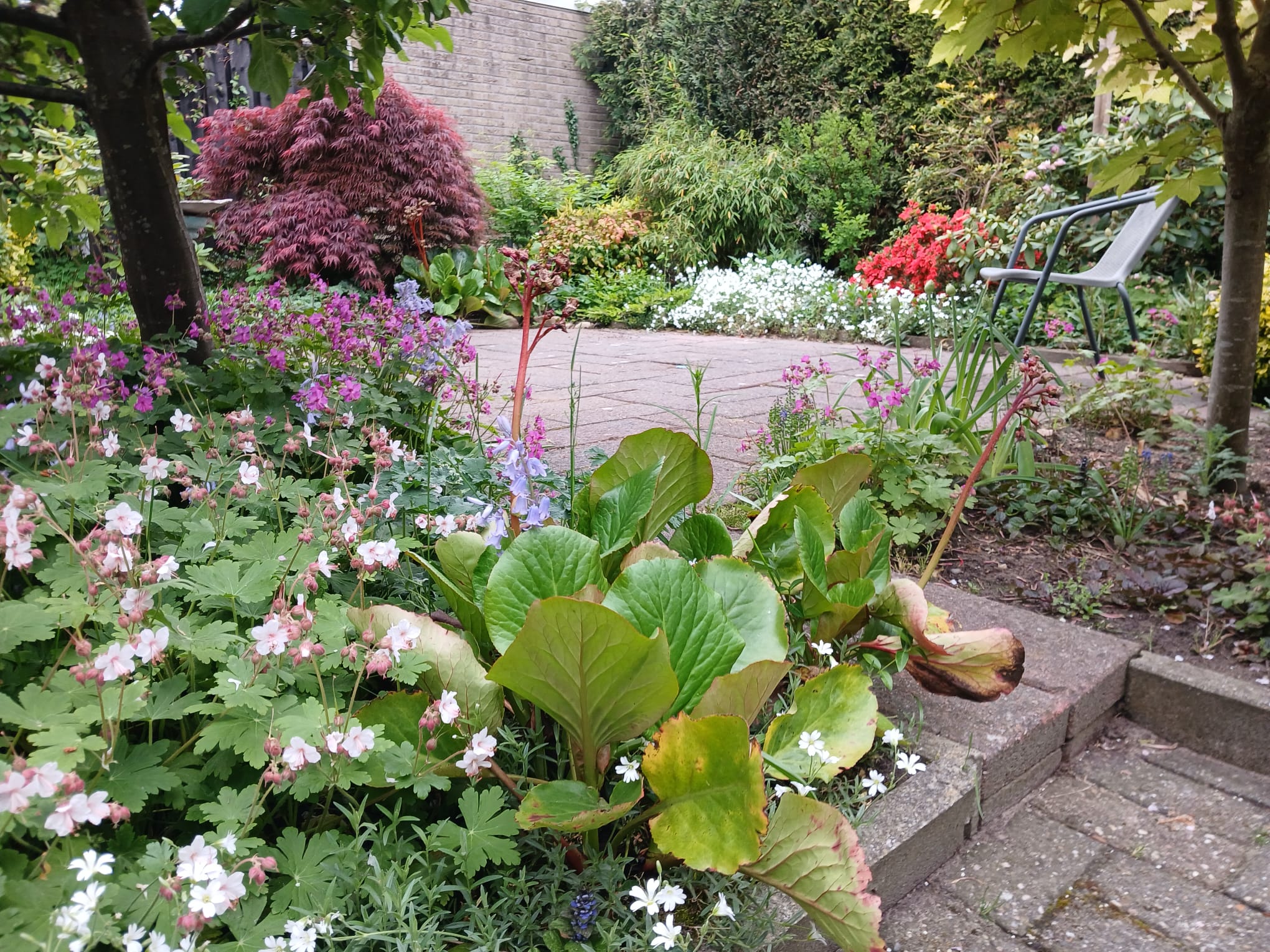 Photo 39 of Pinksterbloem 3