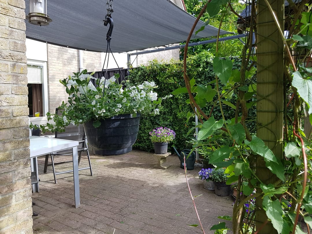 Photo 41 of Pinksterbloem 3