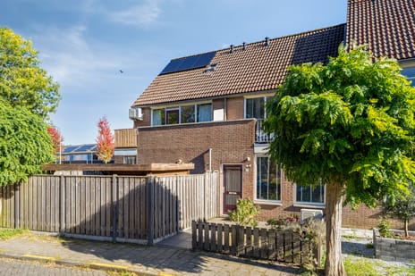 Zwaanstraat thumbnail