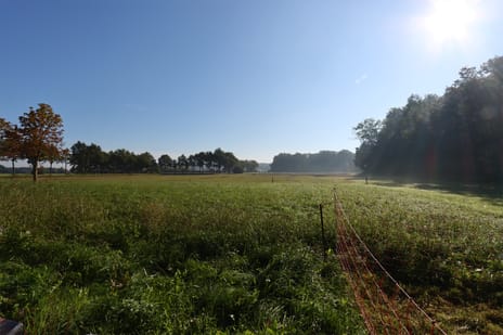 Bekijk foto's