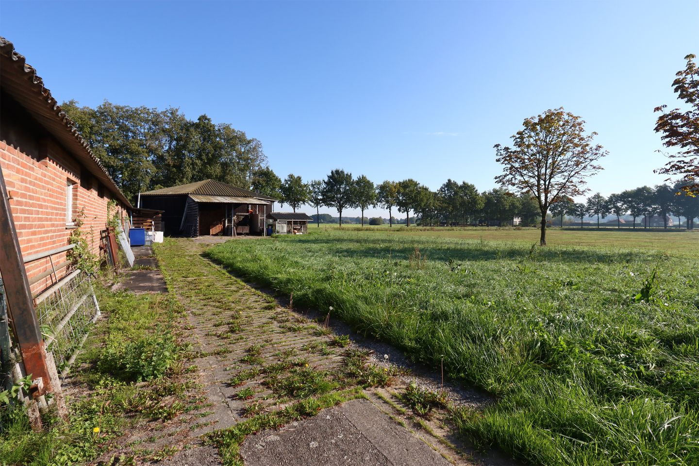 Bekijk foto 5 van Lage Horst 26-a