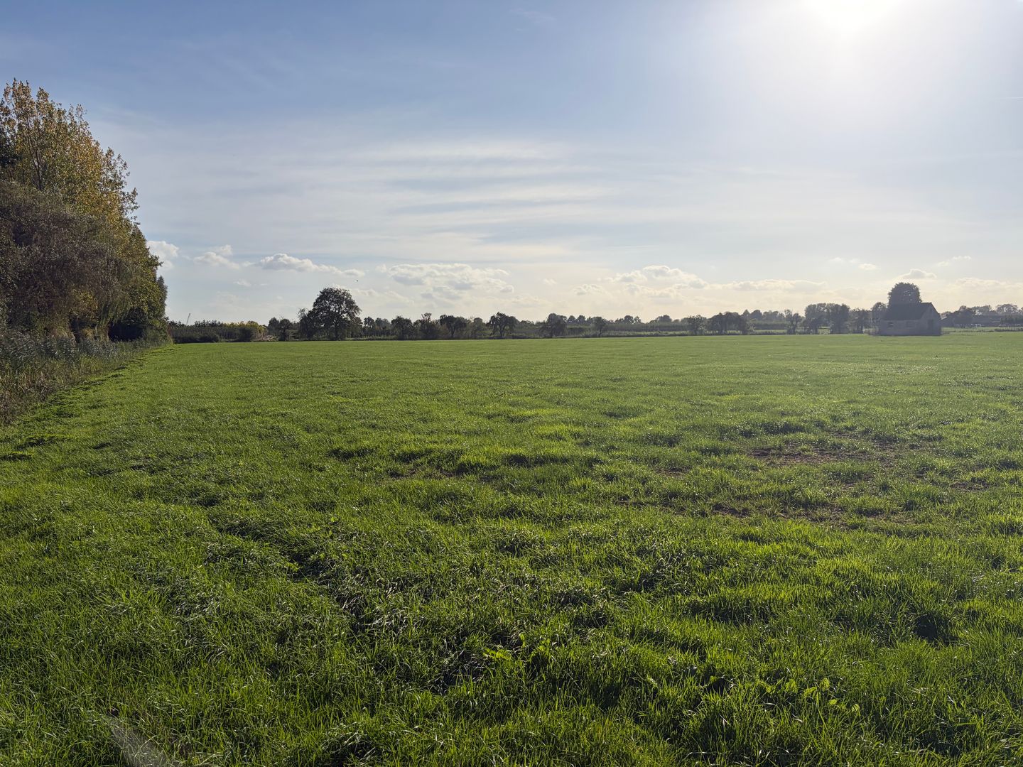 Walenhoekseweg - Ochten - Afbeelding 7