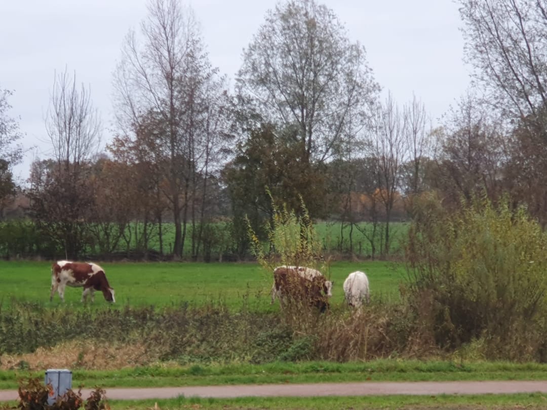 Photo 38 of Beekweide 86