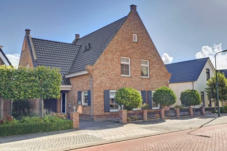 Dokter Zoetemanstraat thumbnail