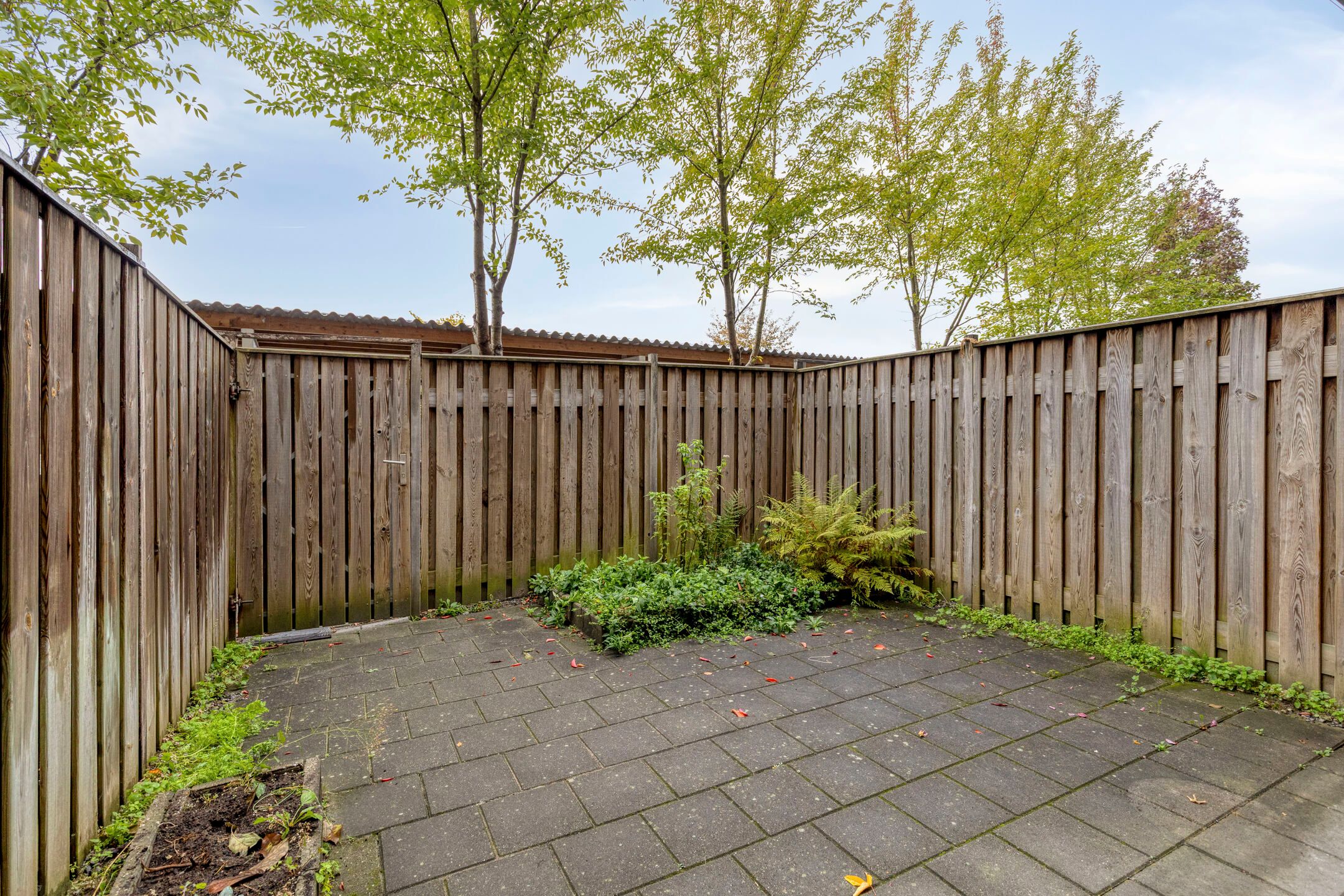 Photo 15 of Carmelietenstraat-oost 2-D