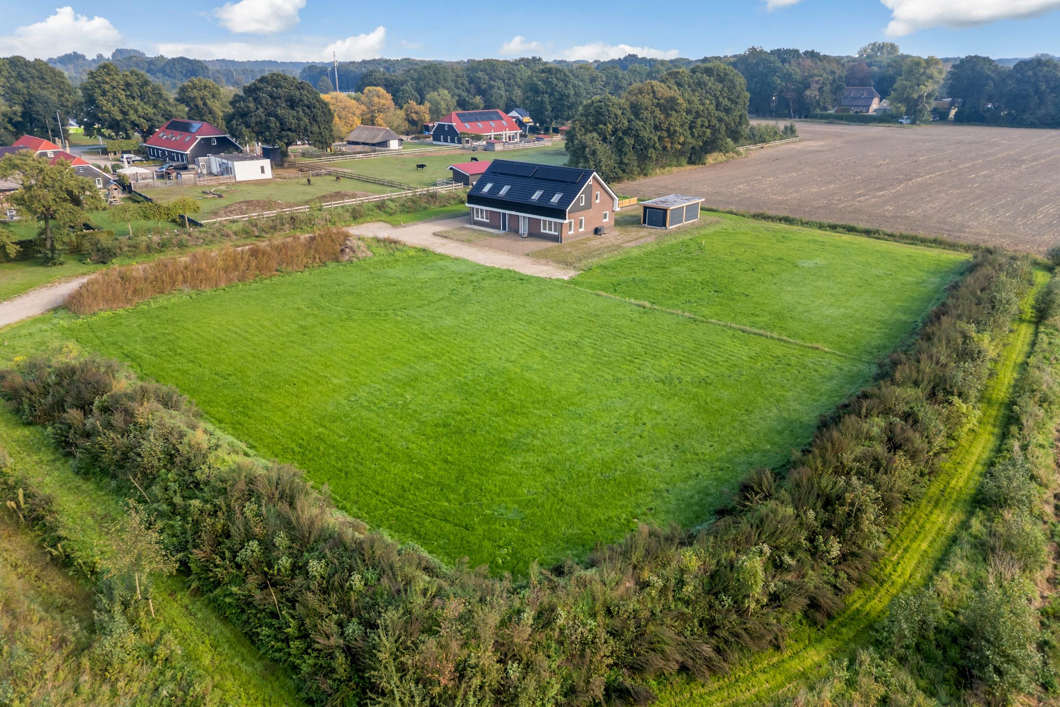Schaapsdijk  