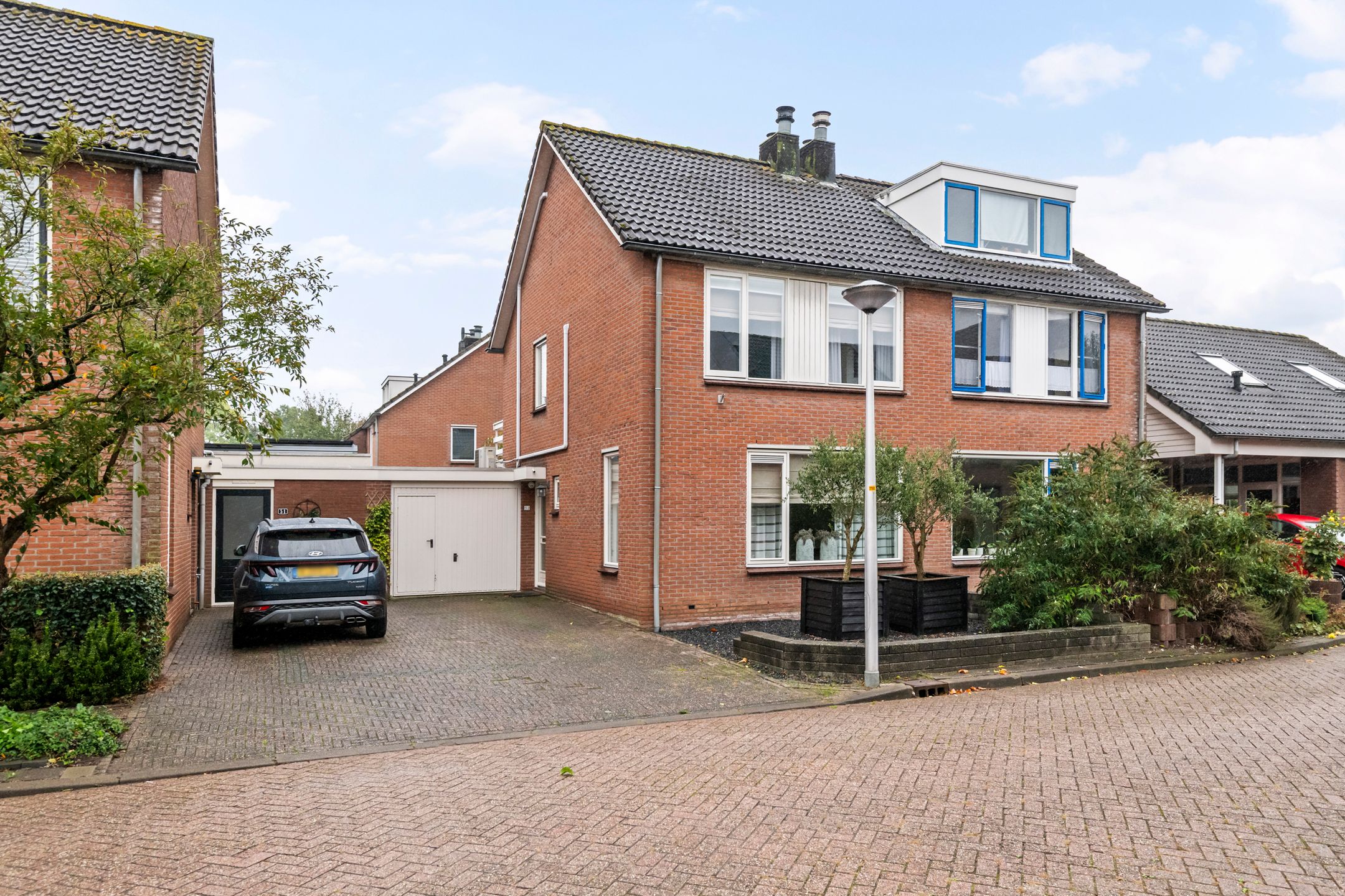 Pinksterbloem 52 