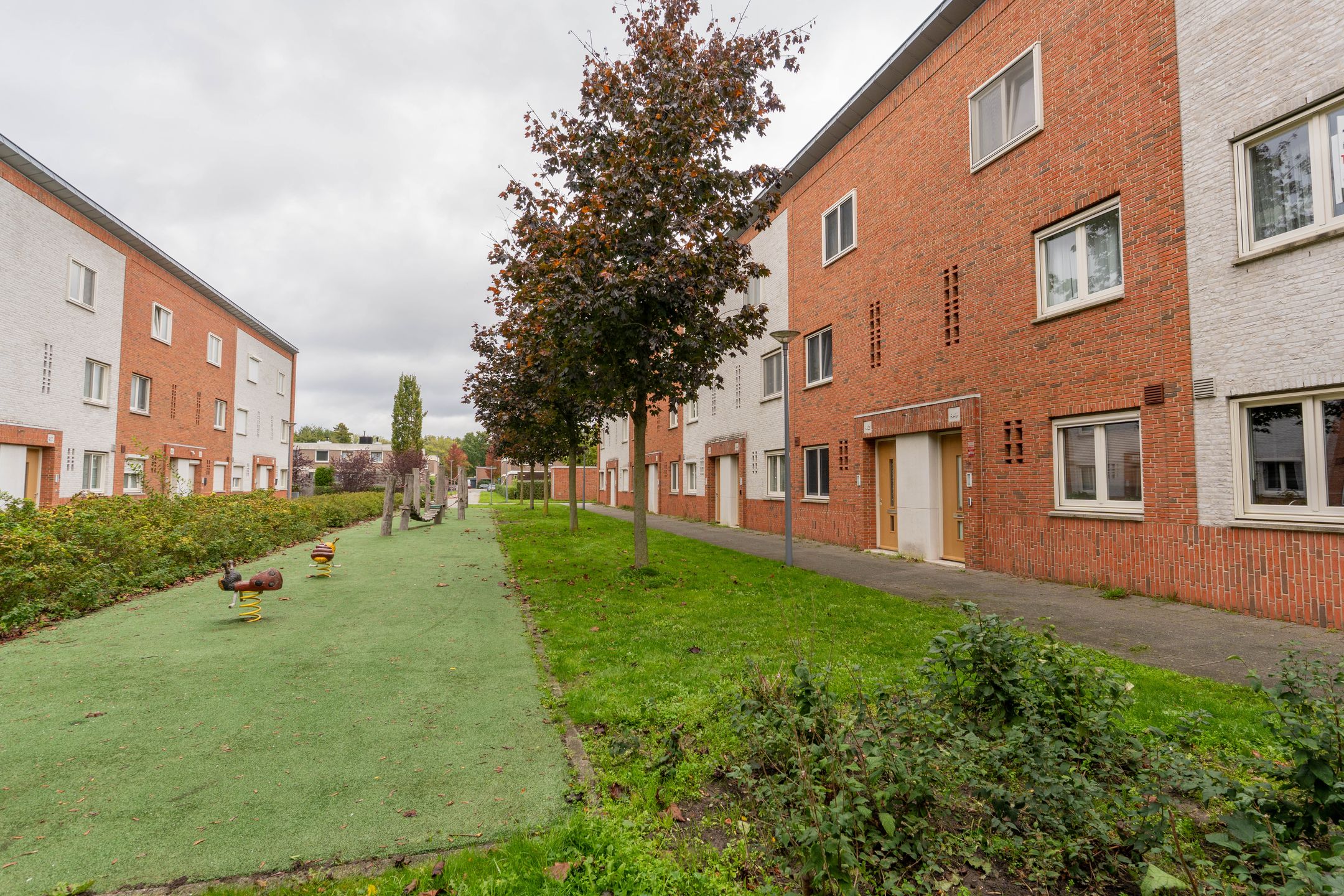 Photo 18 of Rilland Bathstraat 46