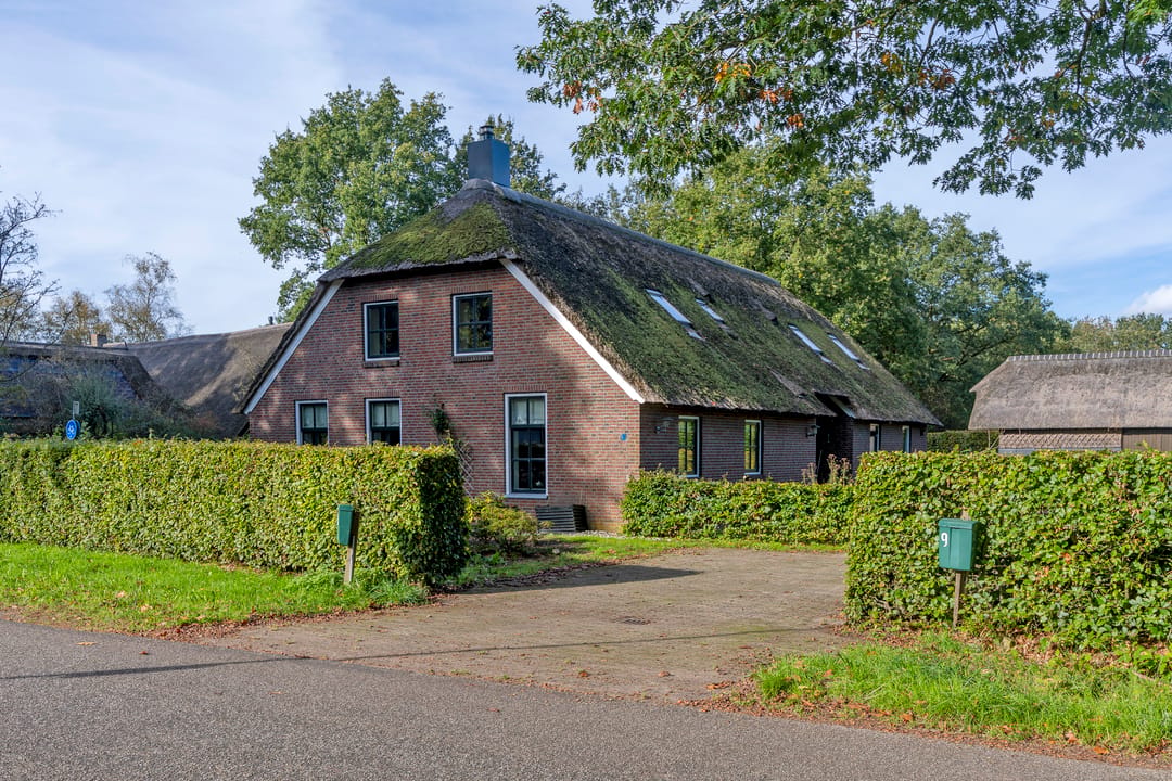 Photo 62 of Terhorst 9