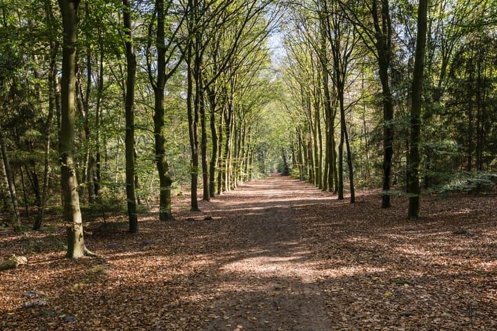 Twee-onder-één-kap te koop: Rading 51, Hilversum