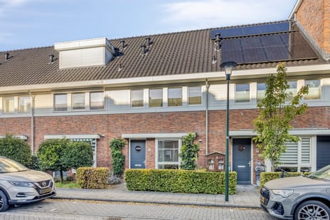Vioolstraat thumbnail