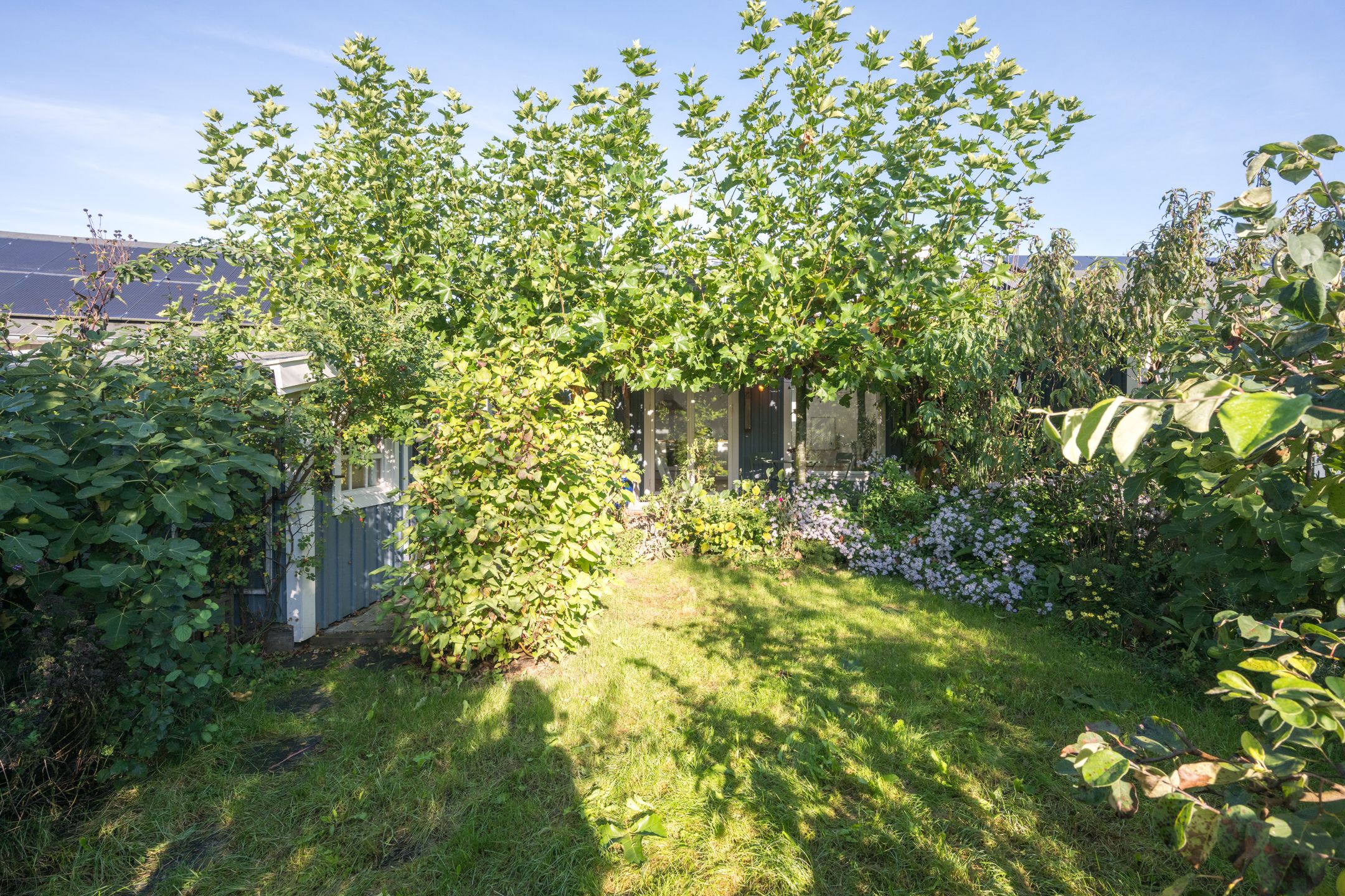 Foto 48 van Copernicusstraat 25