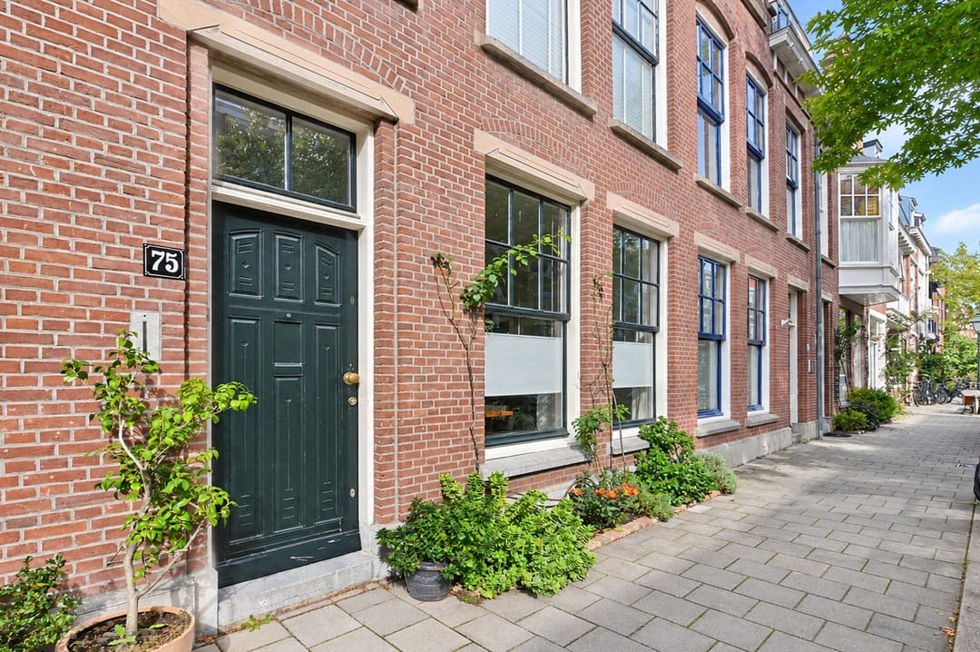 Foto 8 van Buijs Ballotstraat 75