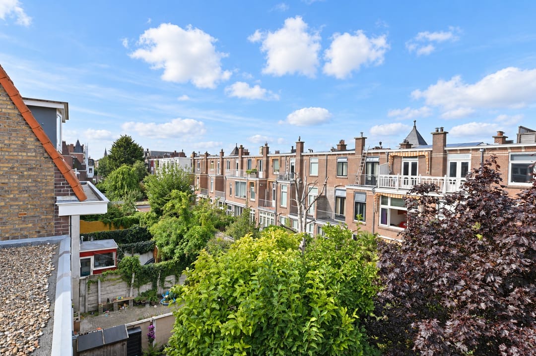 Foto 47 van Buijs Ballotstraat 75