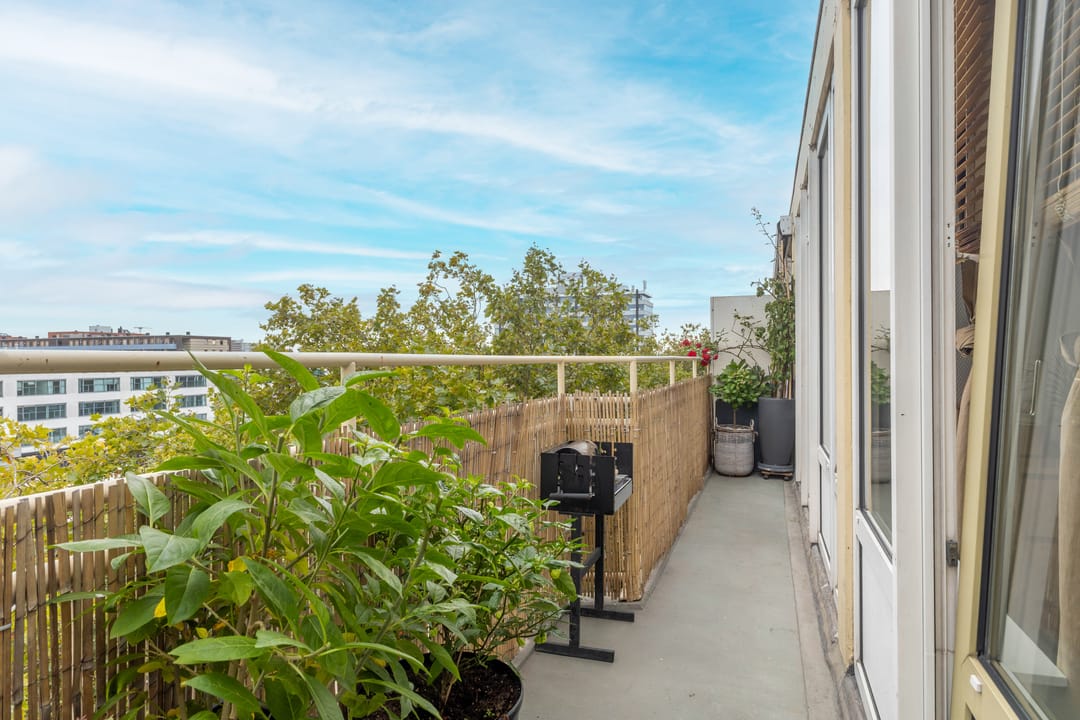 Photo 11 of Cornelis van Vollenhovenstraat 206