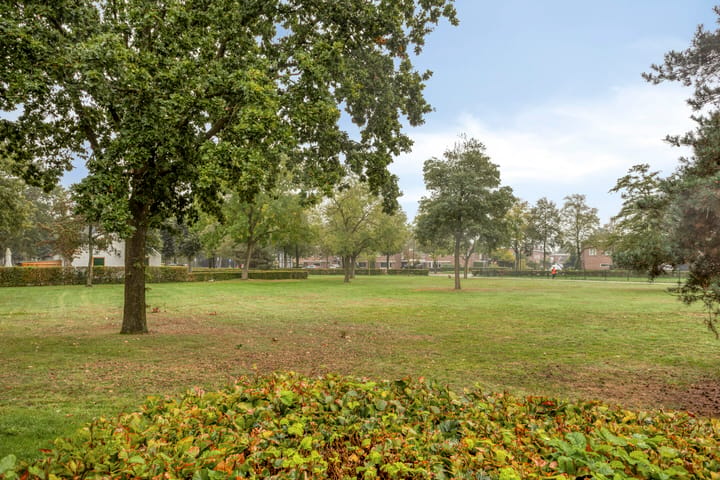Foto 2 van Bevrijdingshof 3