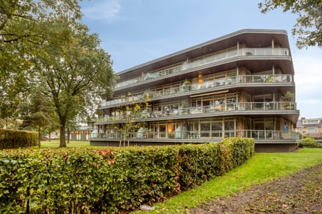 Bevrijdingshof thumbnail