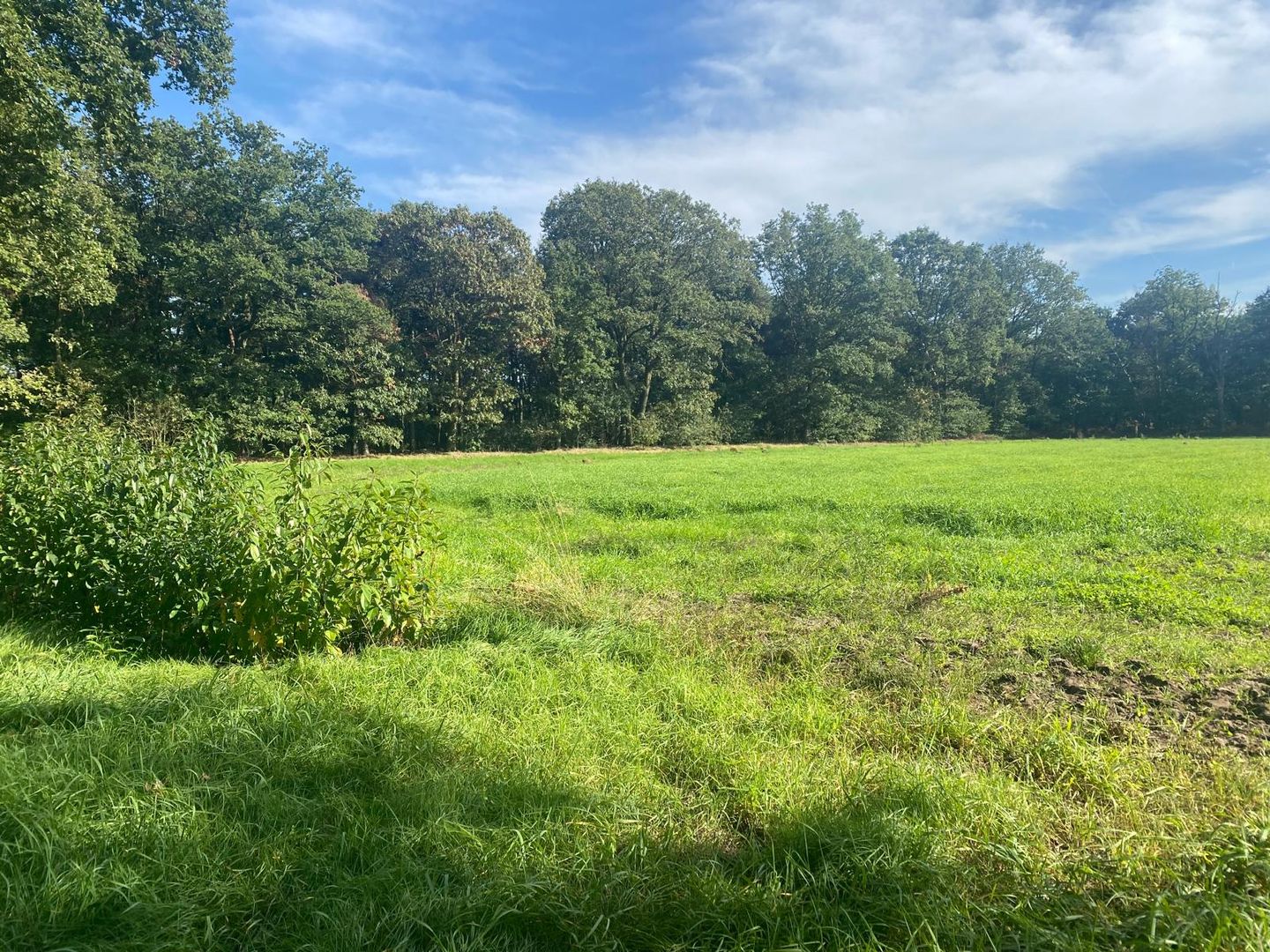 Bekijk foto 5 van Schuurhoek