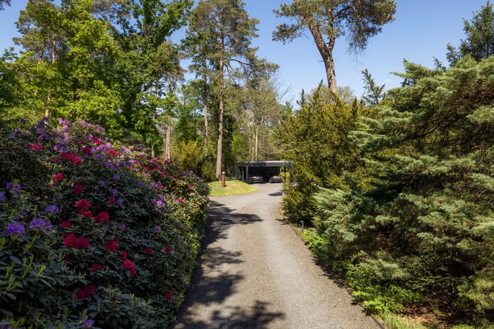 Foto 4 van Treeswijklaan 9