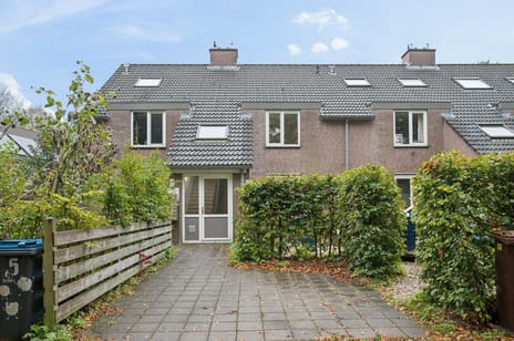 Palmweg thumbnail
