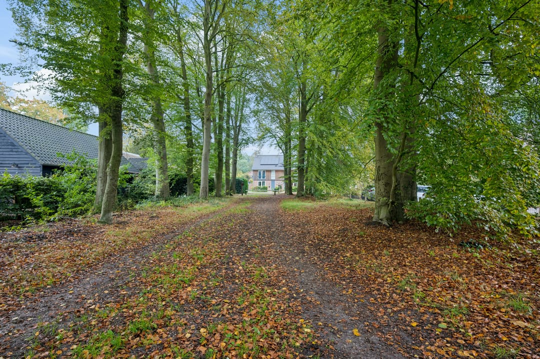 Photo 31 of Palmweg 7