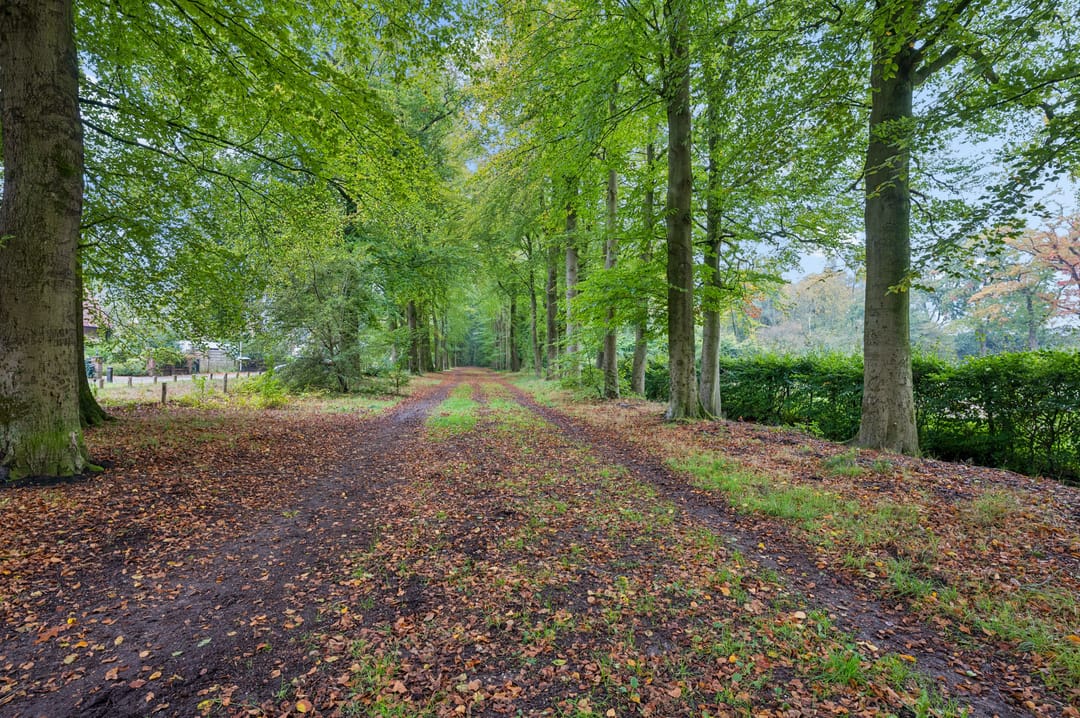 Photo 32 of Palmweg 7
